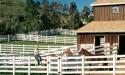 PVC Estate Fencing Horse Jumps