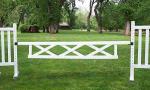 10' x 18" Triple X Gate (Second)