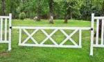 10' x 2' 6" Triple X Gate