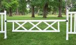 10' x 2' Triple X Gate